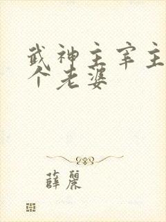 武神主宰主角几个老婆