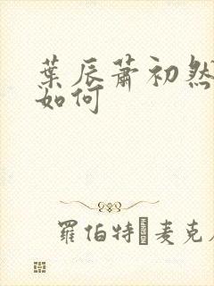 叶辰萧初然结局如何