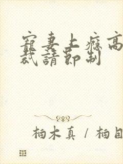 宠妻上瘾高冷总裁请节制