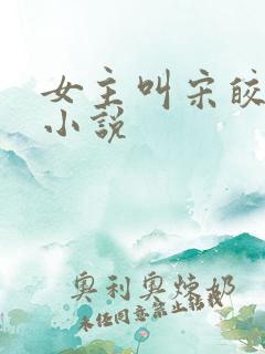 女主叫宋皎皎的小说