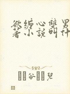 欲缠心双男主原著小说叫什么