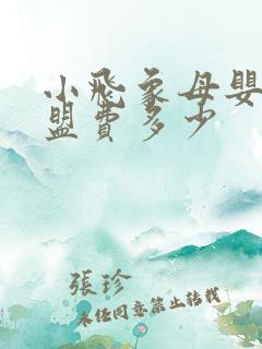 小飞象母婴店加盟费多少