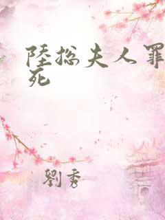 陆总夫人罪不至死