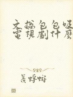 文总包包吸血鬼电视剧什么时候播放