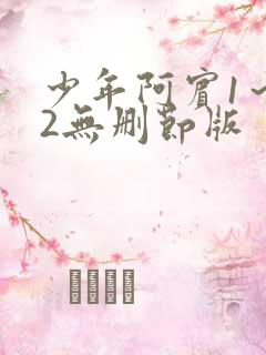 少年阿宾1～72无删节版