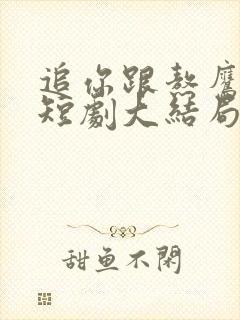 追你跟熬鹰似的短剧大结局