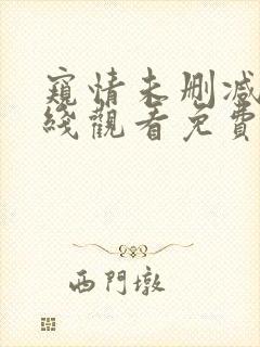 窥情未删减版在线观看免费版高清电影