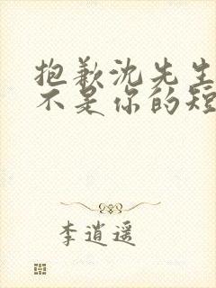 抱歉沈先生孩子不是你的短剧免费