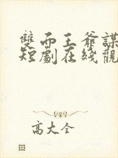 双面王爷谋天下短剧在线观看