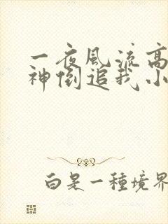 一夜风流高冷女神倒追我小说免费阅读无弹窗