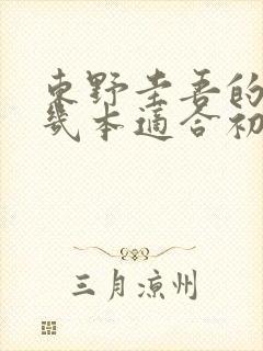 东野圭吾的书哪几本适合初中生看