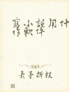 写小说用什么写作软件