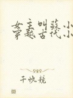 女主叫苏小小的穿越古代小说