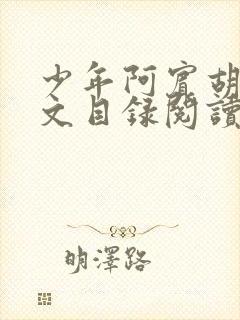 少年阿宾胡太全文目录阅读在线