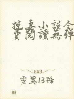 挽妻小说全文免费阅读无弹窗