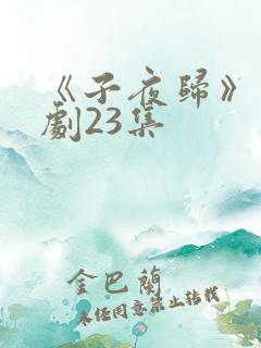 《子夜归》电视剧23集