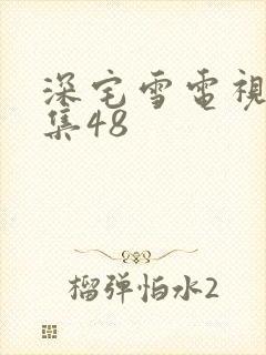 深宅雪电视剧全集48