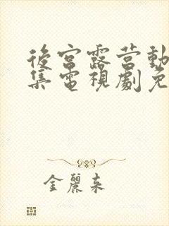 后宫露营动漫全集电视剧免费播放