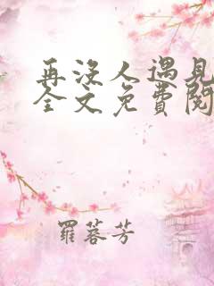 再没人遇见小说全文免费阅读