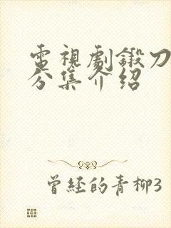 电视剧锻刀剧情分集介绍