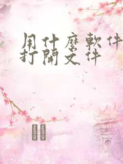 用什么软件可以打开文件