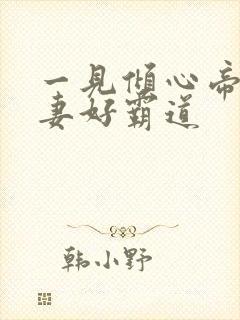 一见倾心帝少宠妻好霸道