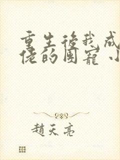 重生后我成了大佬的团宠 小说