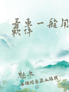 看车一般用什么软件