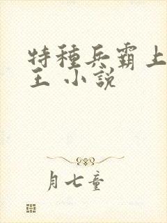 特种兵霸上女军王 小说