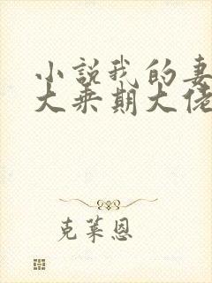 小说我的妻子是大乘期大佬免费阅读