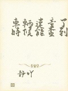 车辆违章了什么时候能查到