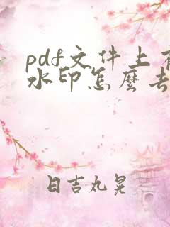 pdf文件上有水印怎么去除