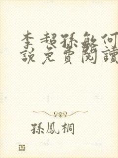 李超孙敏何玉小说免费阅读