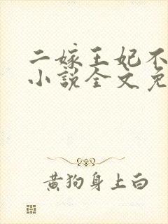 二嫁王妃不好惹小说全文免费阅读