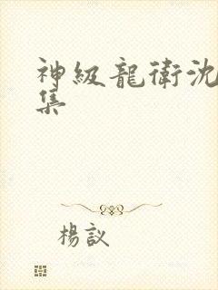 神级龙卫沈浪全集