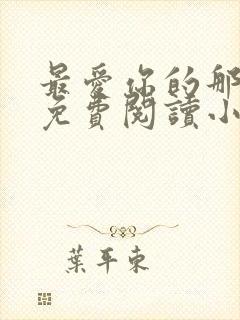 最爱你的那十年免费阅读小说