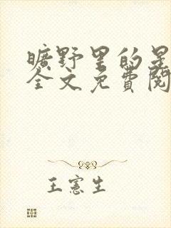 旷野里的星小说全文免费阅读