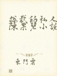 总裁的私人秘书陈果儿小说