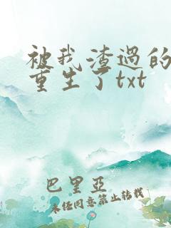 被我渣过的男主重生了txt