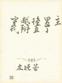 穿越后男主们被我掰直了