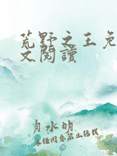 荒野之王免费全文阅读