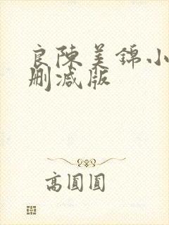 良陈美锦小说未删减版