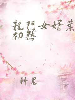 龙门女婿叶辰萧初然