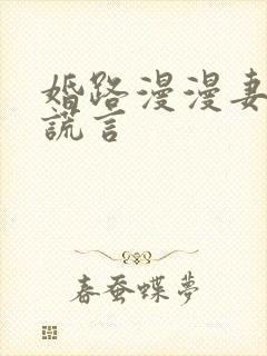 婚路漫漫妻子的谎言