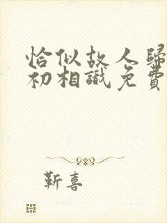 恰似故人归与君初相识免费看