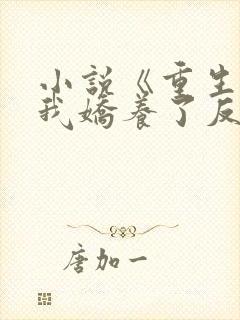 小说《重生后,我娇养了反派摄政王》