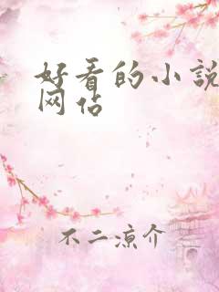 好看的小说阅读网站