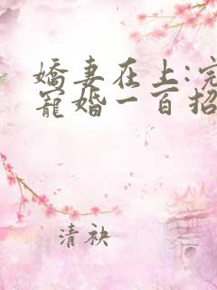 娇妻在上:完美宠婚一百招小说