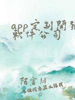 app定制开发软件公司