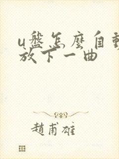 u盘怎么自动播放下一曲